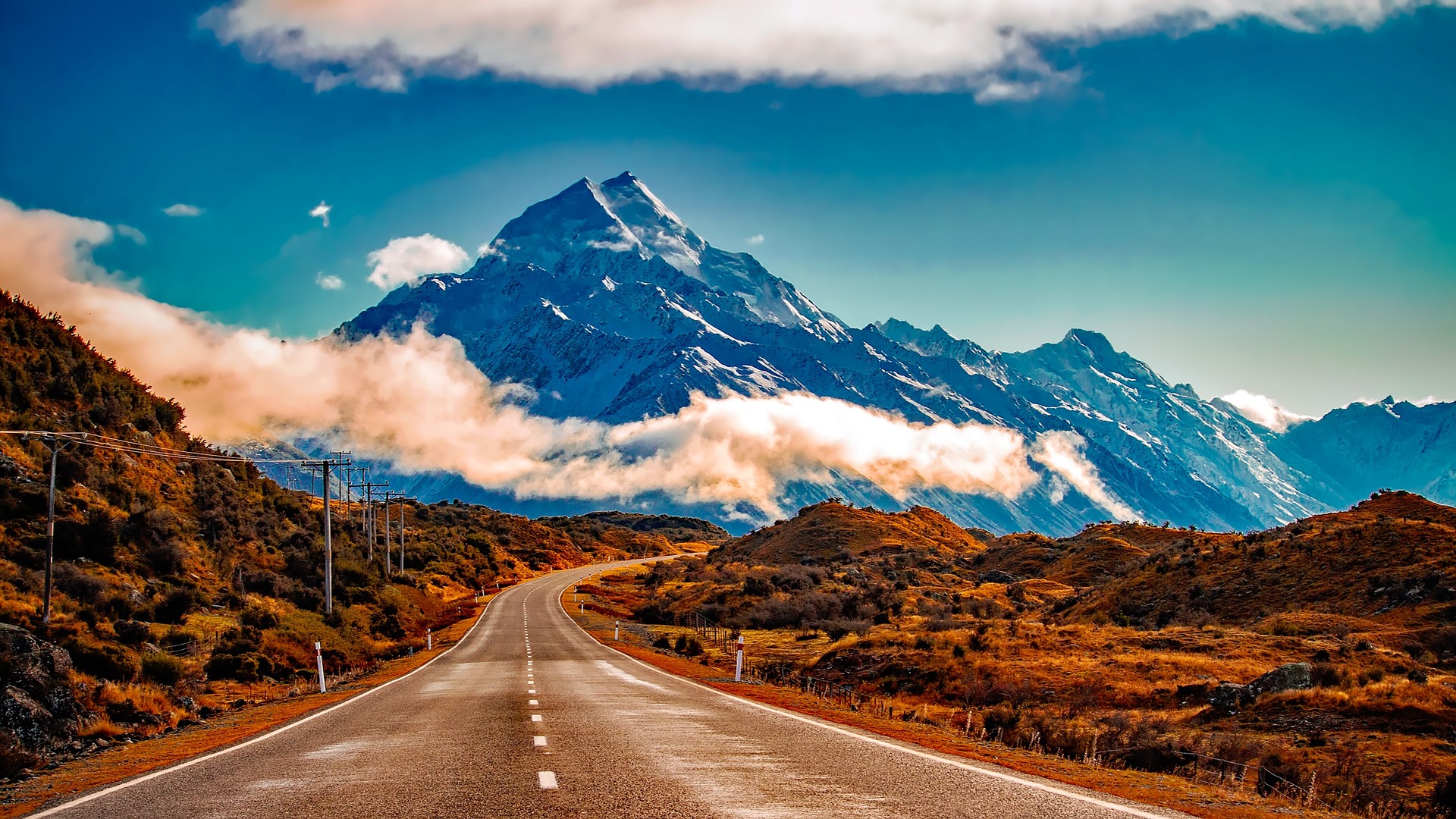 new zealand road trip